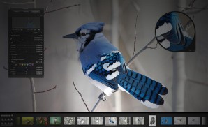 BuyDifferent: nuovi videocorsi avanzati su Aperture e Mountain Lion in offerta lancio