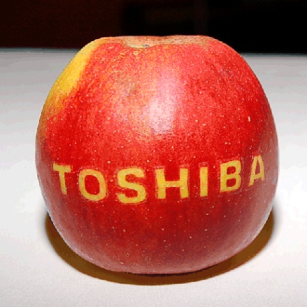 Apple vuole costruire una fabbrica con Toshiba, per rispondere alla grande richiesta di iPhone 1