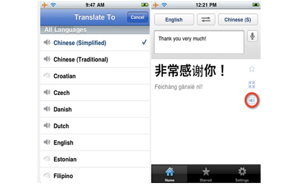 È uscito Google Translate per iOS 2