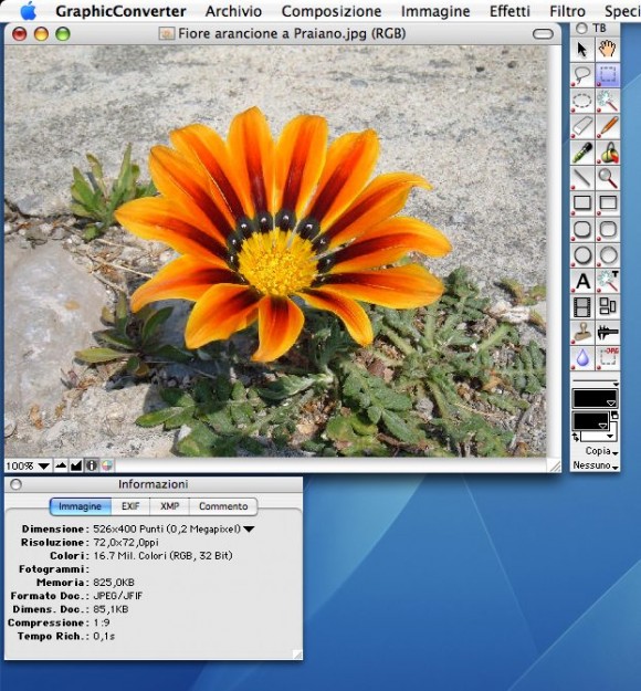 GraphicConverter 7.6 in italiano da Italiaware 2