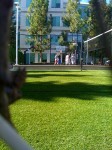 Un po' di foto dentro il Campus di Apple. 2