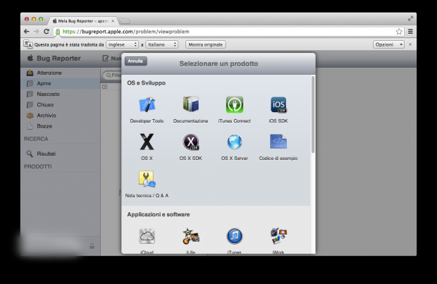 Bug-Report-2-Italiamac