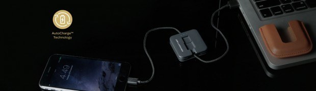 banner-img3
