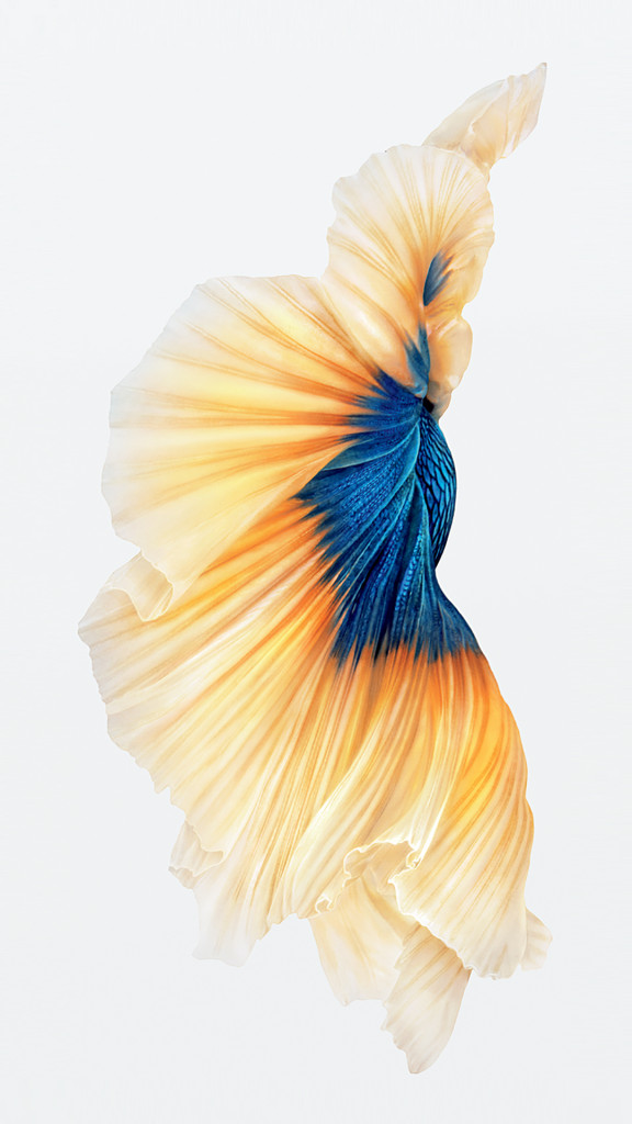 iPhone-6s-Fish-Gold-Wallpaper-576x1024