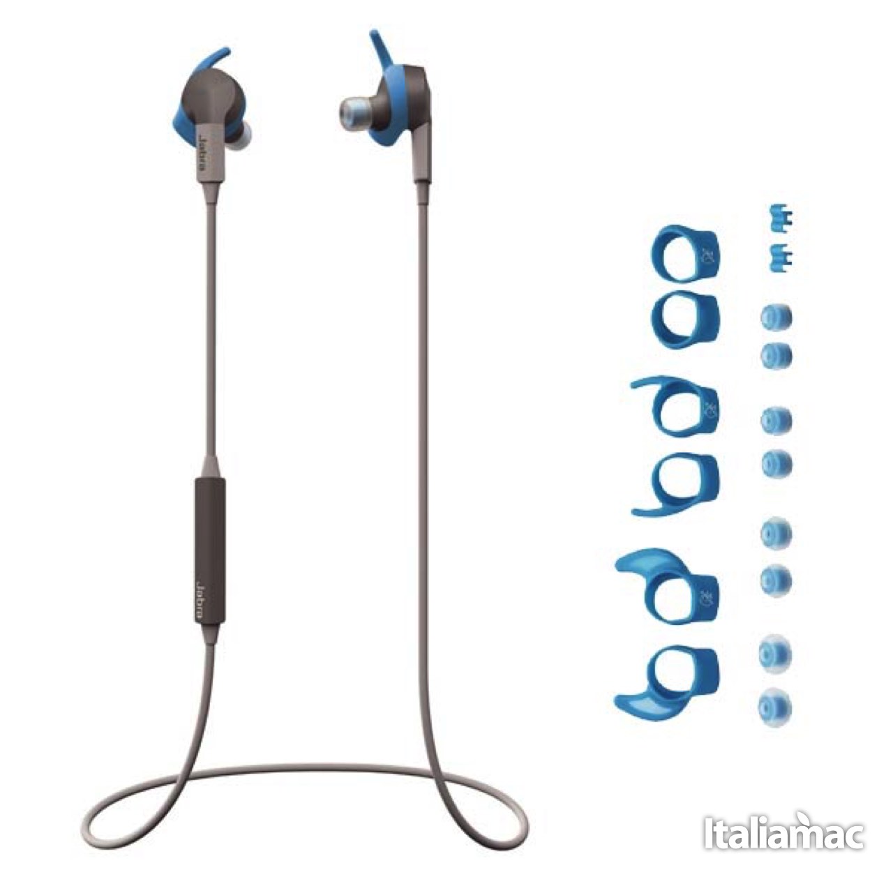 Jabra-Sport Coach Wireless