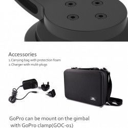 gimbal-Lanparte-6