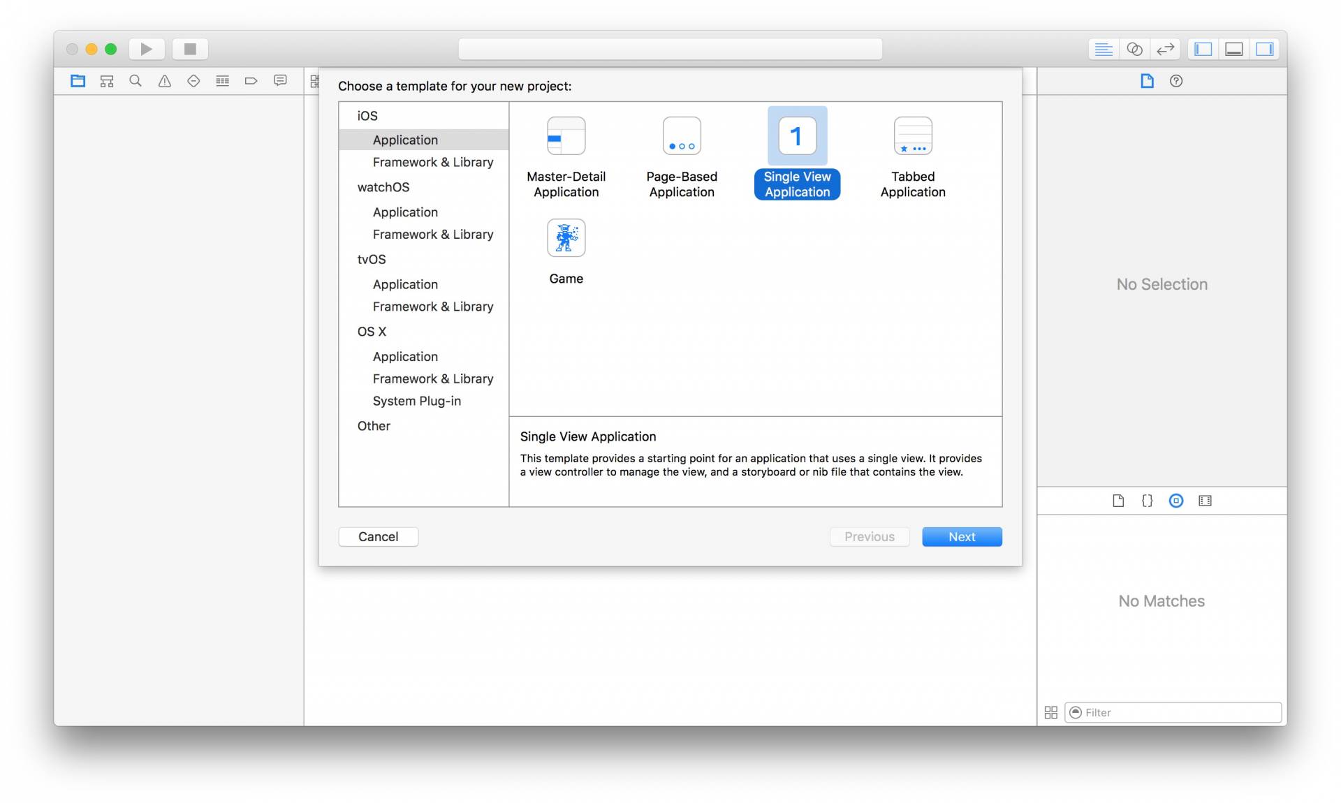 Xcode iOS App