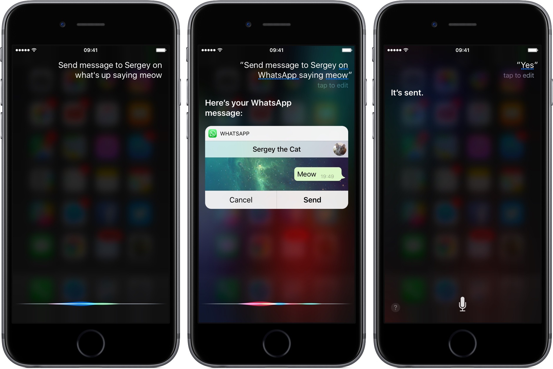 whatsapp-2-16-for-ios-siri-integration-iphone-screenshot-001