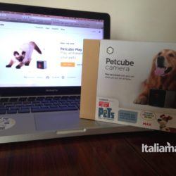 PetCube Camera