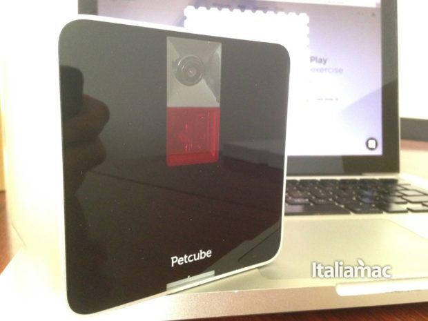 Petcube Camera, la webcam per tenere sott'occhio i nostri amici a quattro zampe 2