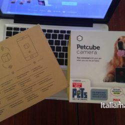 Petcube Camera, la webcam per tenere sott'occhio i nostri amici a quattro zampe 4