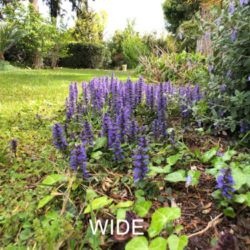 confronto-foto-lenti-sandmarc-iphone-1