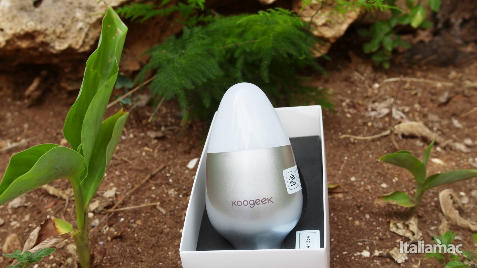 Koogeek lampadina intelligente E27 compatibile HomeKit 6