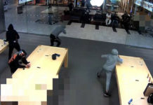 Rubati $19.000 di iPhone dall’Apple Store di New York