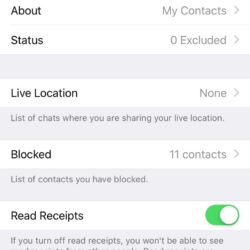 WhatsApp si aggiorna con la possibilità di sbloccare l'app con Face ID o Touch ID 2
