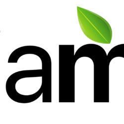 Logo-IM-RankMat-Google