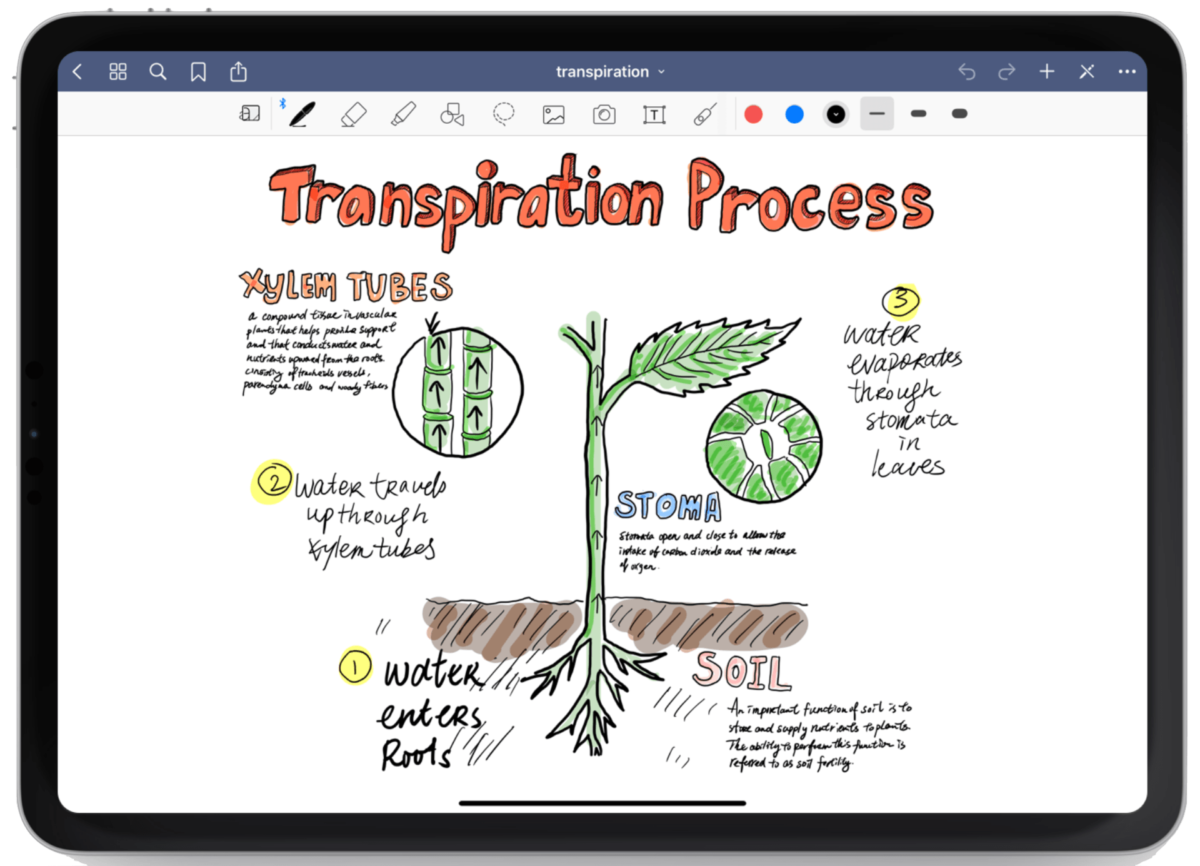 GoodNotes 5: L'app ideale per prendere appunti su iPad - Italiamac