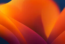 Dove scaricare i Wallpapers 4K di macOS Ventura