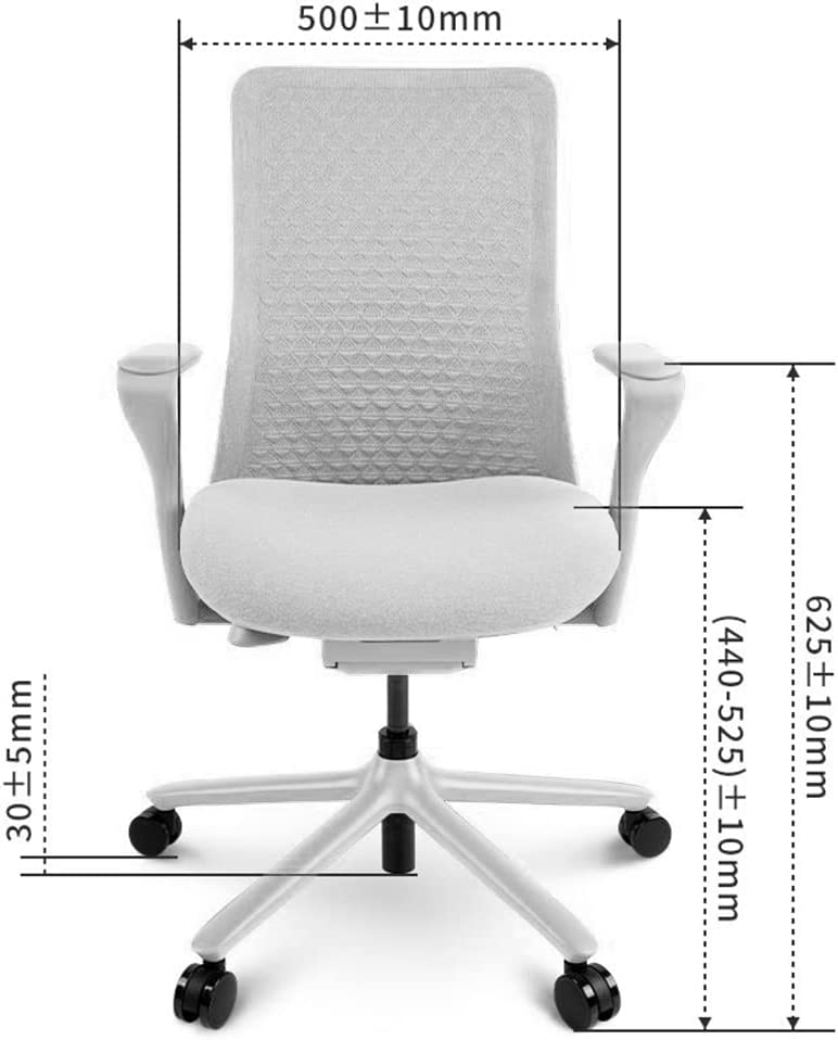 La mia prova: Sedia ergonomica FlexiSpot POLY BS13, ottima come soluzione a lungo termine 14