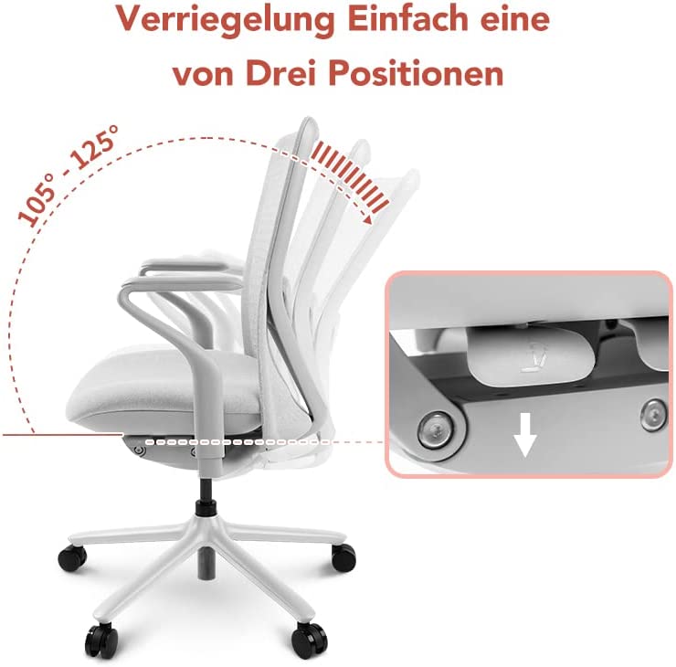 La mia prova: Sedia ergonomica FlexiSpot POLY BS13, ottima come soluzione a lungo termine 17