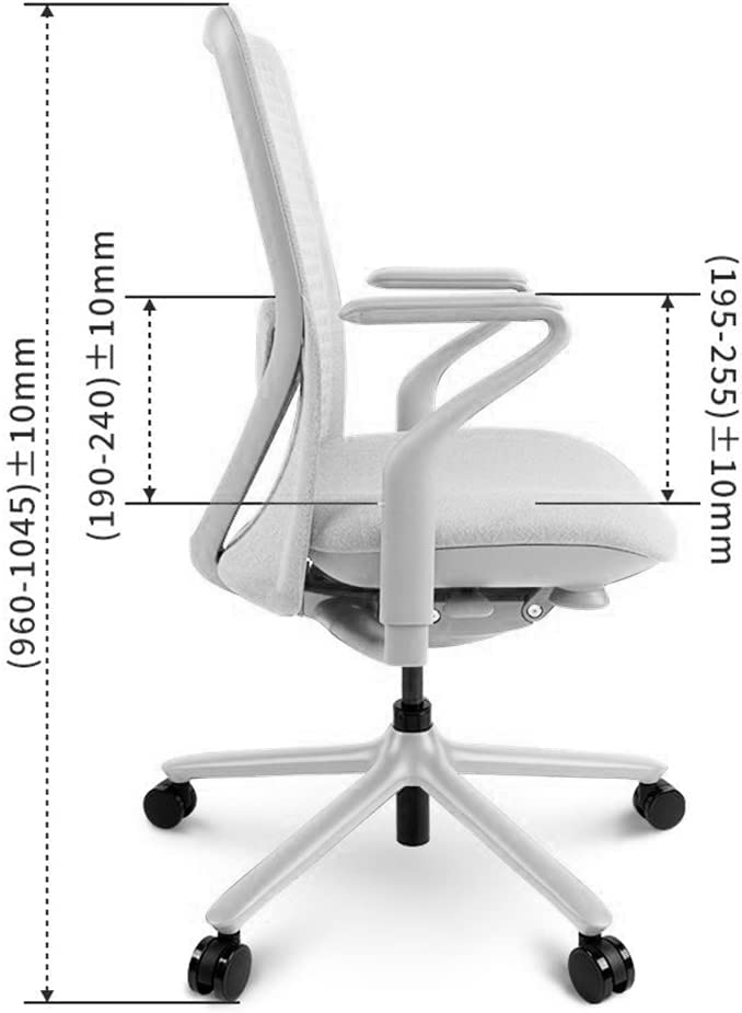La mia prova: Sedia ergonomica FlexiSpot POLY BS13, ottima come soluzione a lungo termine 15