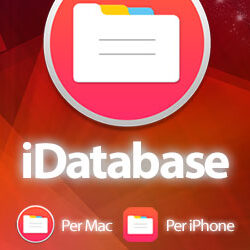 300x250_idatabase
